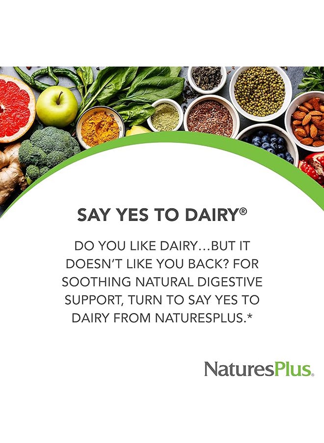 Nature's Plus Say Yes To Dairy Digestive Aid For Dairy Food Natural Lactase Enzyme Supplement Gluten Free 50 Chewable Tablets - Image 4