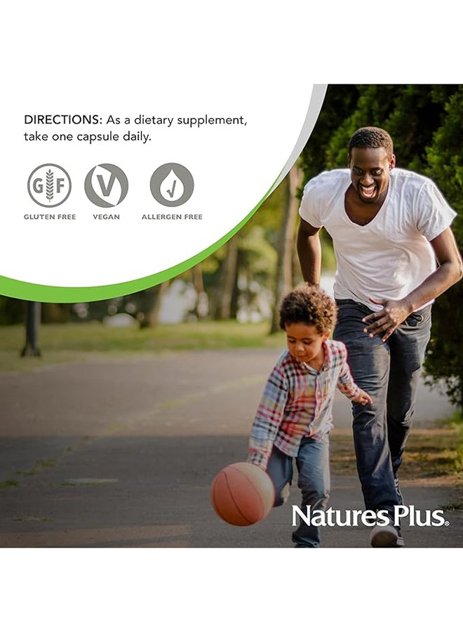 ناتشرز بلاس شواغاندها من هيربل آكتيف - Image 5