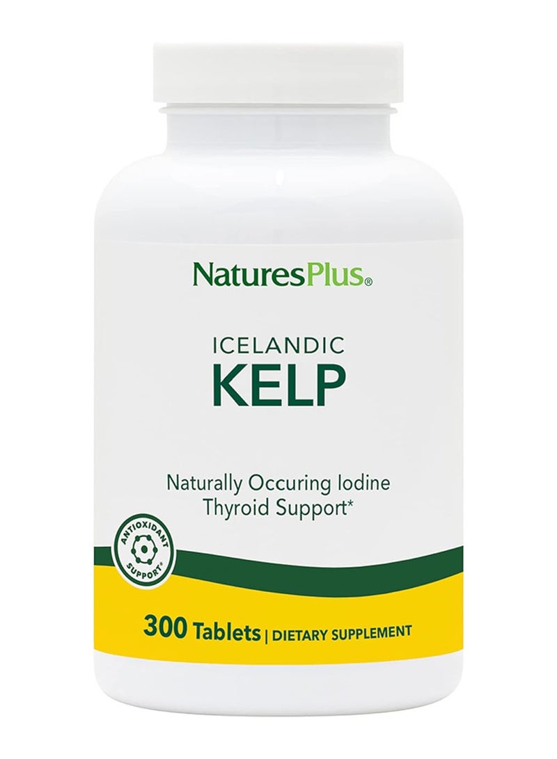Natures Plus Icelandic Kelp Dietary Supplement Naturally Occurring Iodine Thyroid Support Antioxidant Support 300 Tablets - Image 1