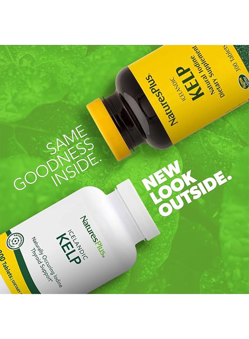 Natures Plus Icelandic Kelp Dietary Supplement Naturally Occurring Iodine Thyroid Support Antioxidant Support 300 Tablets - Image 2