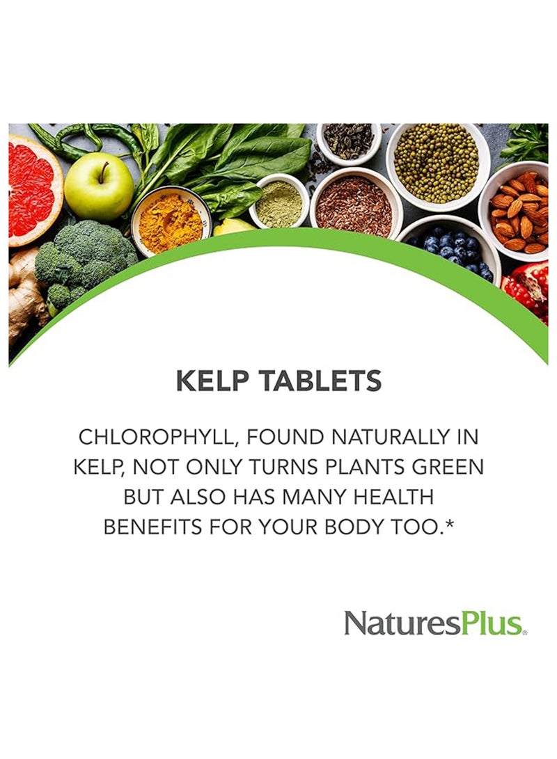 Natures Plus Icelandic Kelp Dietary Supplement Naturally Occurring Iodine Thyroid Support Antioxidant Support 300 Tablets - Image 5