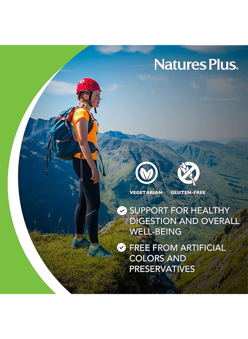 Natures Plus - Natures Chewable Plus Papaya Enzyme Supplement Digestive Aid Natural Supplement Gluten Free 180 Tablets - Image 1