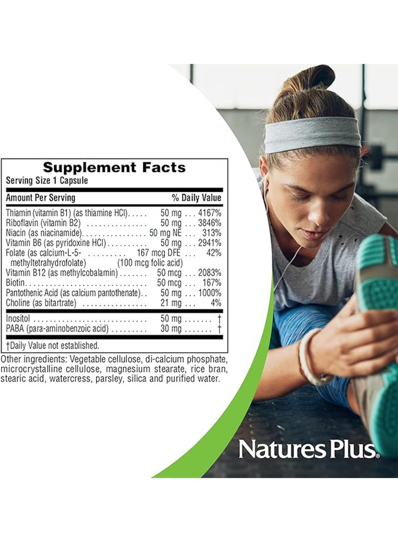 Natures Plus High Potency Super B-50 Balanced B-Complex Dietary Supplement Energy Support 60 Tablets - Image 5