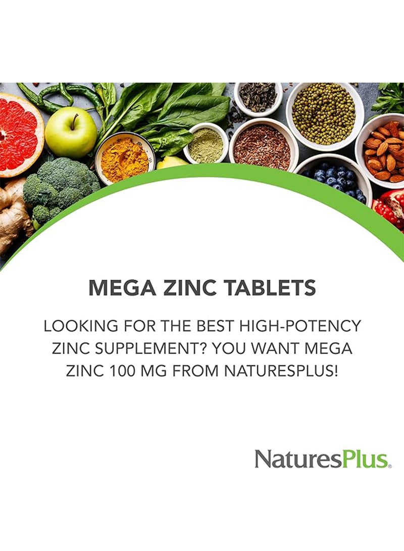 Natures Plus Sustained Release Mega Zinc 100 Mg Dietary Supplement Immune Support 90 Tablets - Image 5