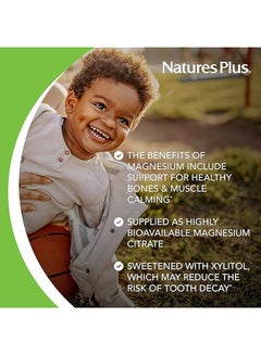 Nature's Plus Mag Kids Animal Parade Chewable Magnesium Supplement Cherry Flavor Sugar Free 90 Animal Shaped Tablets  - Image 5