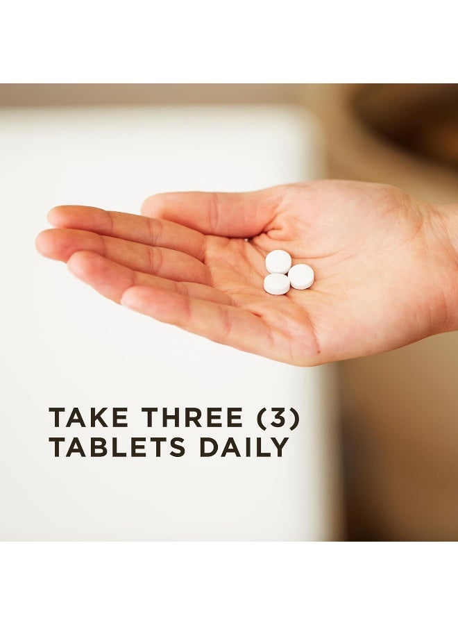 Solgar Magnesium with Vitamin B6 - Supports Energy Levels - Reduce Tiredness and Fatigue - Muscle Function - Vegan - 100 Tablets - Image 3