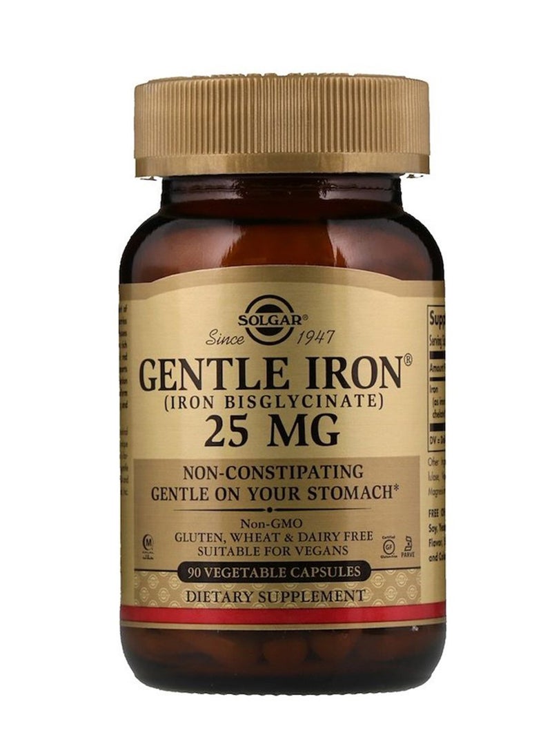 Solgar - Gentle Iron, 25 Mg - 90 Vegetable Capsules - Image 1