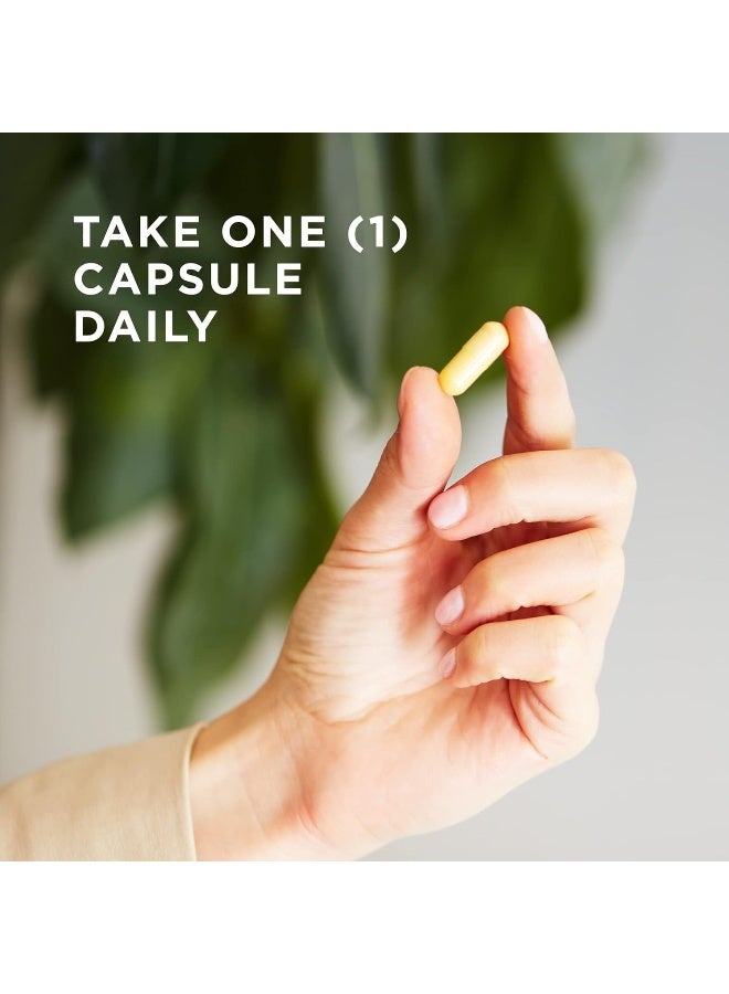 Solgar B Complex "100" | 50 Vegetable Capsules Packaging May Vary - Image 4