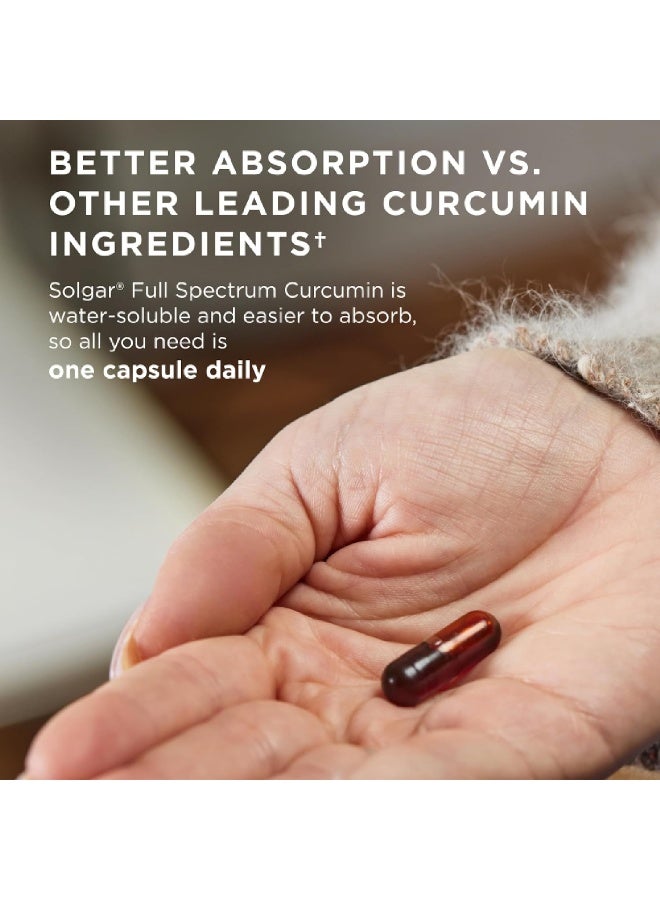 Solgar Full Spectrum Curcumin 60 Softgels - Image 4