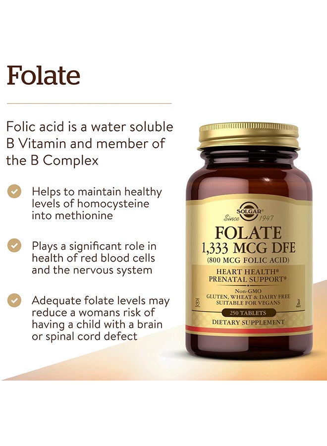 Solgar - Folate 1333 Mcg Dfe Infused With 800 Mcg Folic Acid Dietary Supplement Heart Health And Prenatal Support Gluten, Wheat And Diary Free Suitable For Vegans 250 Tablets - Image 1