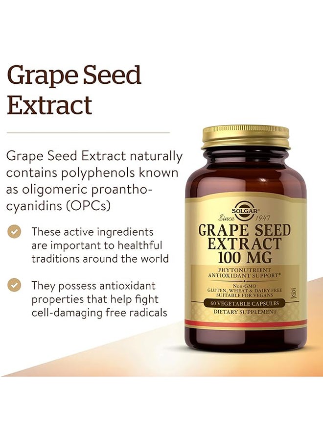 Solgar Grapeseed Extract 100 Mg Phytonutrient Antioxidant Support Gluten Wheat And Dairy Free 60 Vegetable Capsules - Image 2