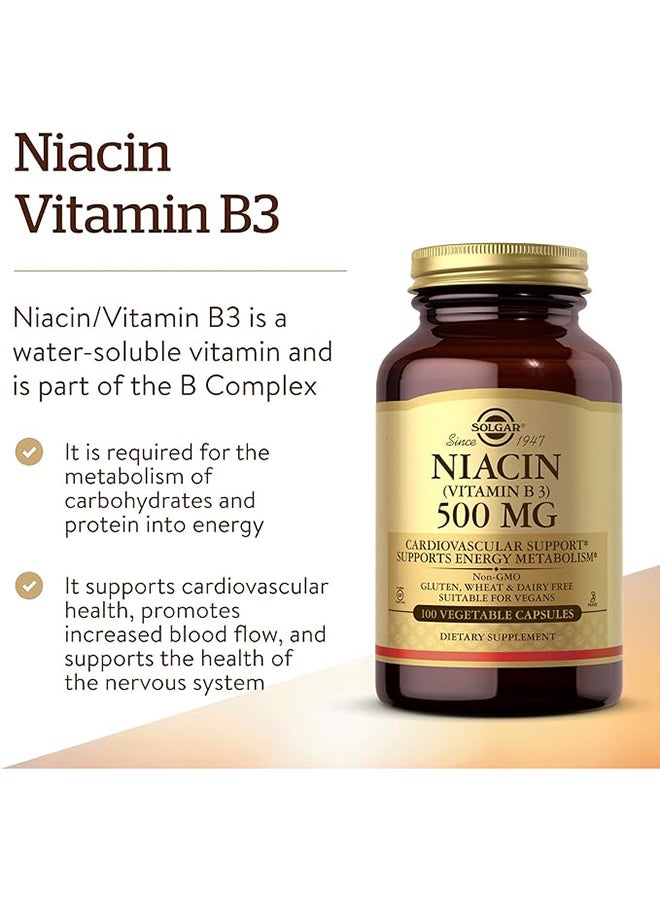 Solgar Niacin 500 Mg Cardiovascular Support And Energy Metabolism Gluten Wheat And Dairy Free 100 Vegetable Capsules - Image 2