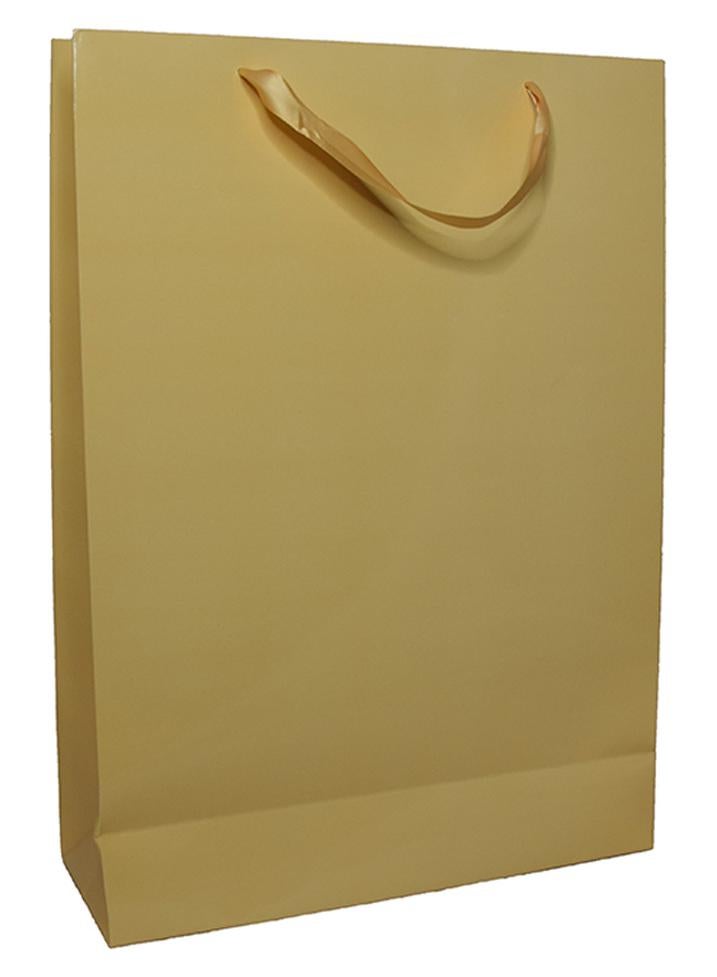 كلاس كيس هدايا للحفلات مقاس L بيج