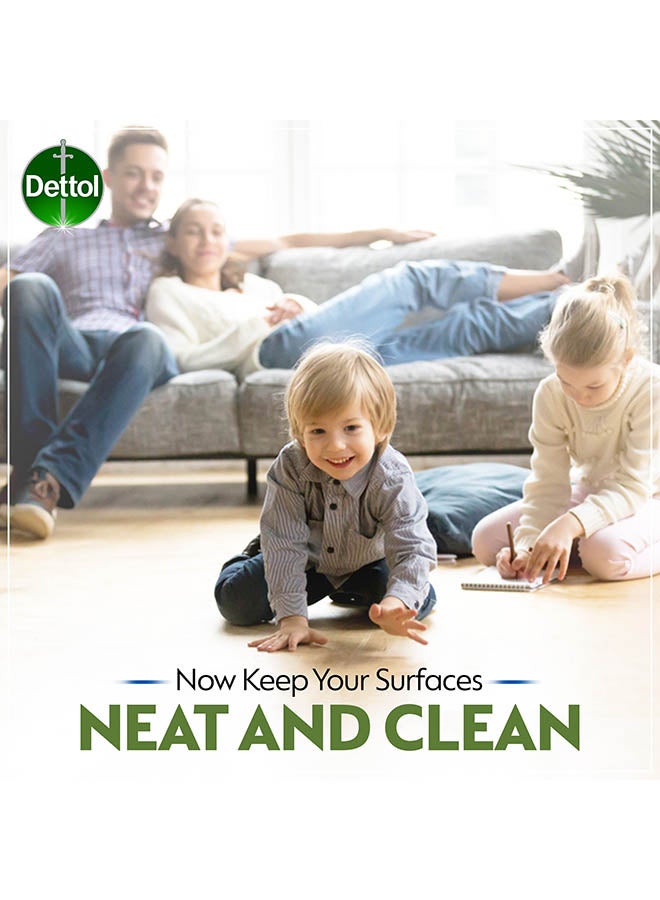 Dettol - Mould And Mildew Remover 500ml - Image 1