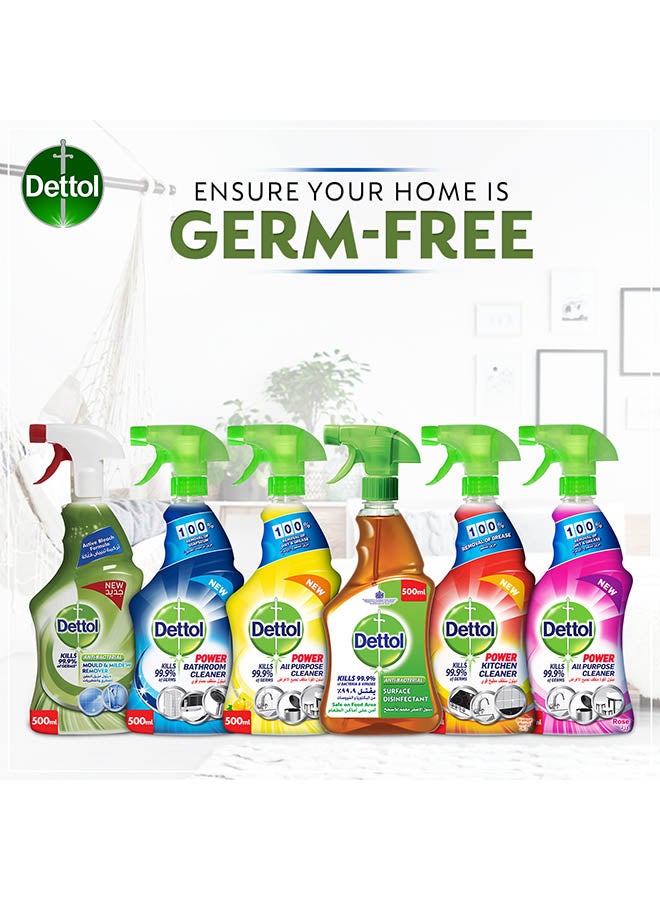 Dettol - Mould And Mildew Remover 500ml - Image 1