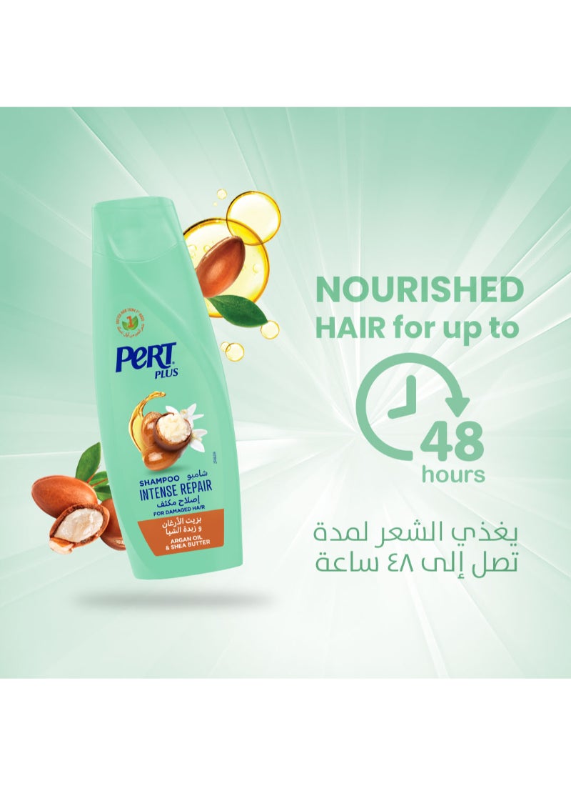 PERT PLUS Shampoo for Damaged Hair with Argan Oil and Shea Butter 600ml - Image 5