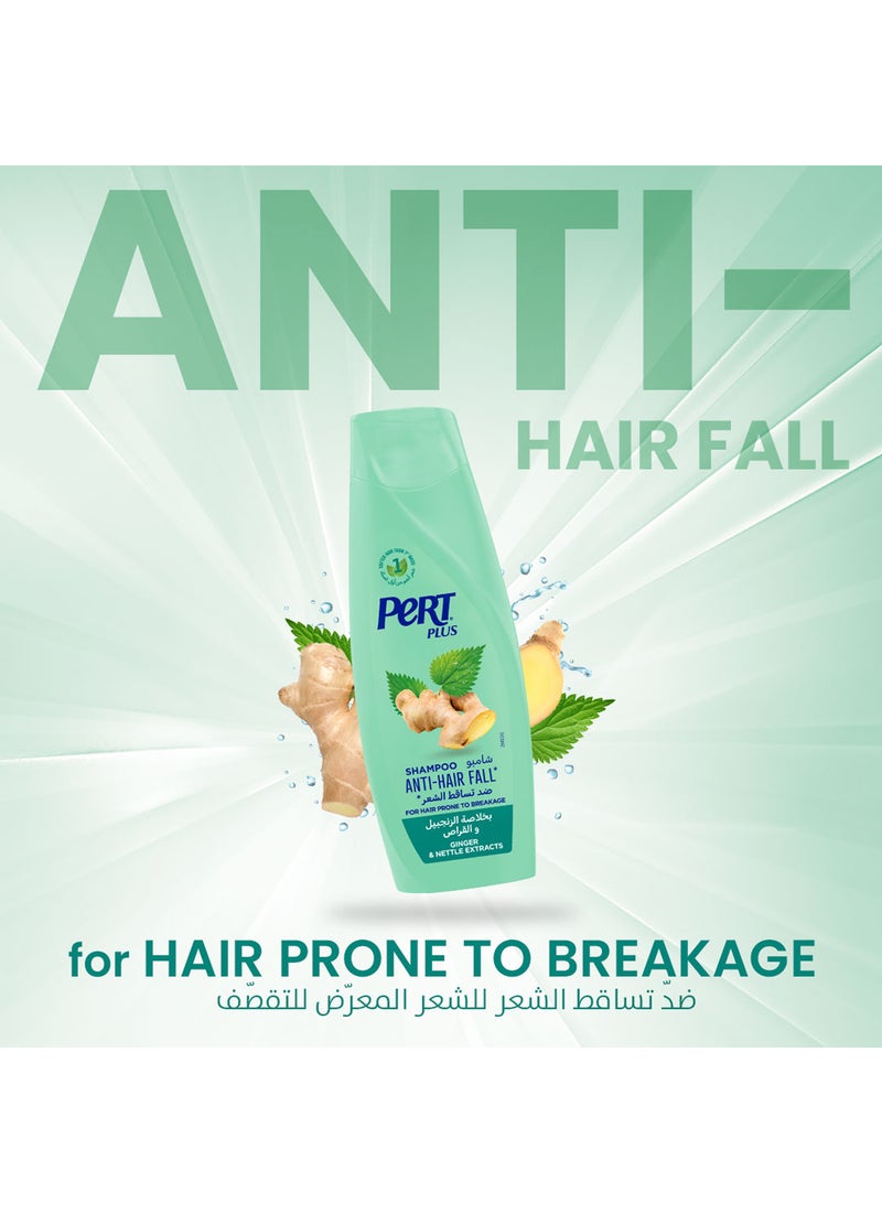 PERT PLUS Anti Hair Fall Shampoo With Ginger Extract 600ml - Image 3