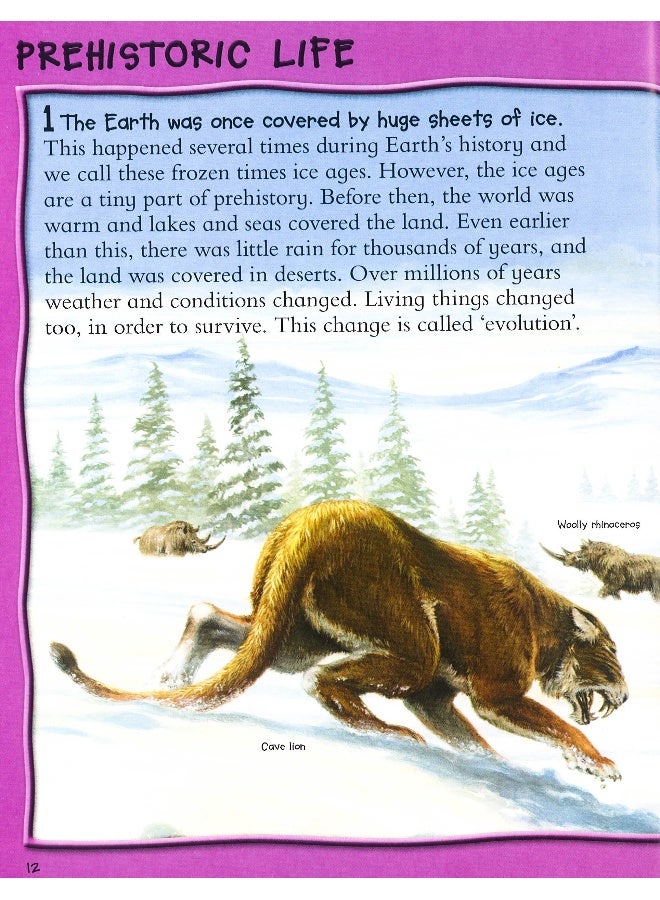 Fantastic Animal Facts Paperback English by Miles Kelly - 12/1/2017 - Image 4