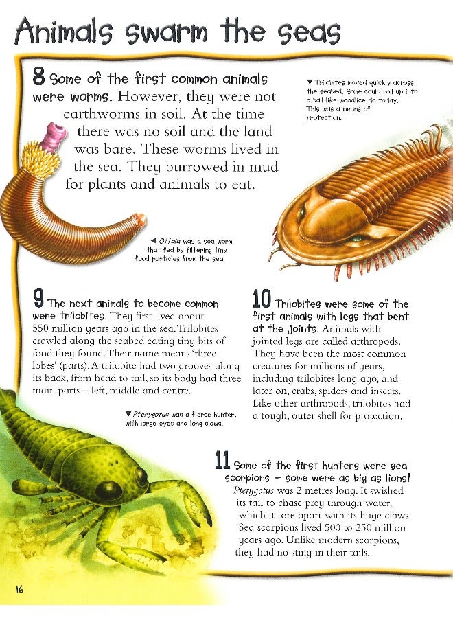 Fantastic Animal Facts Paperback English by Miles Kelly - 12/1/2017 - Image 5