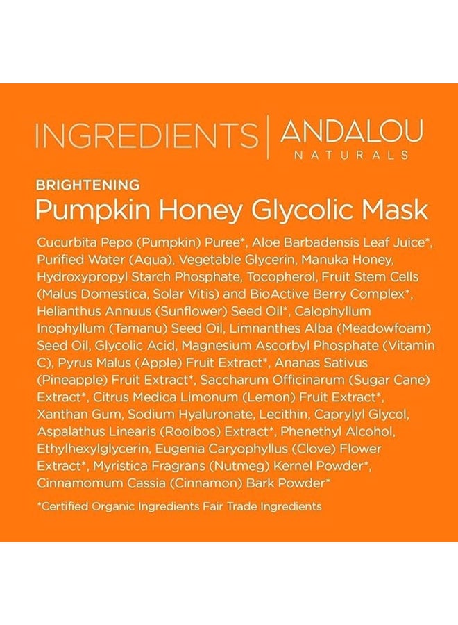 Andalou - Andalou Naturals Pumpkin Honey Glycolic Mask, Brightening 50grams - Image 1