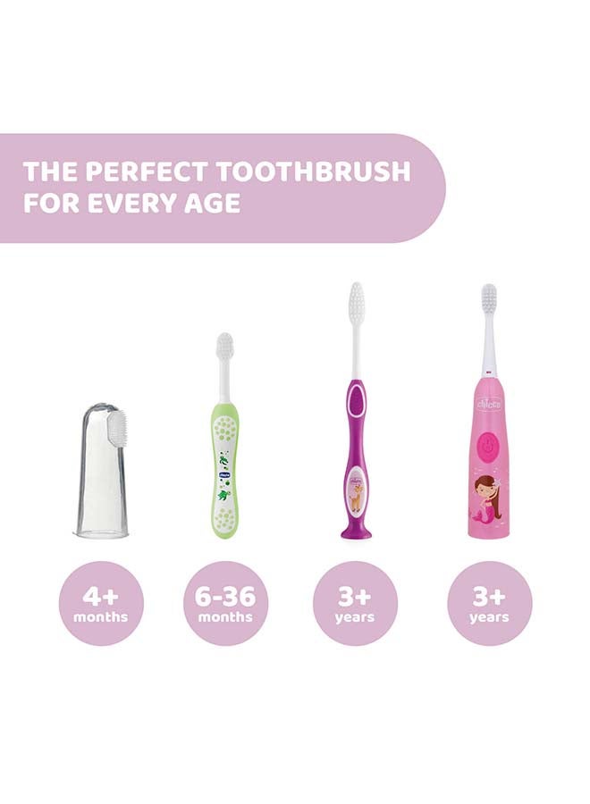 شيكو فرشاة أسنان للأسنان اللبنية لعمر 3-6 سنوات بألوان متنوعة وردية/بنفسجية - Image 4