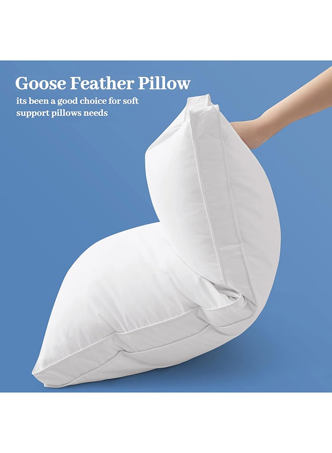 Hours - Princess Hotel Pillow Pack Of 2 Microfiber 1Cm Stripe Pillow, 1000Grms, Queen Cotton White 75x50x12cm - Image 1