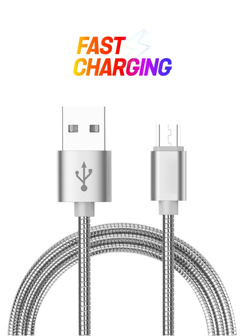 Trands - Double Sided Micro USB To USB 2.0 Charging And Sync Data Cable Silver - Image 1