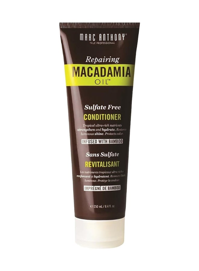 مارك أنتوني بلسم زيت مكاديميا لإصلاح الشعر 250ملليلتر