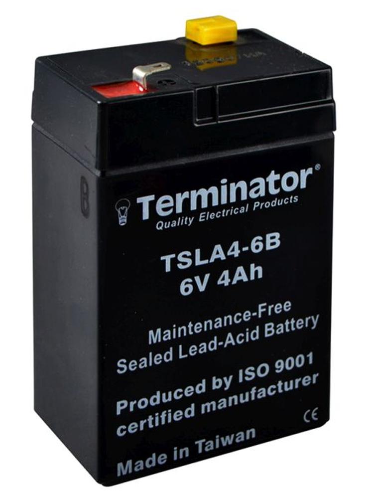 Sealed Lead-Acid Car Battery