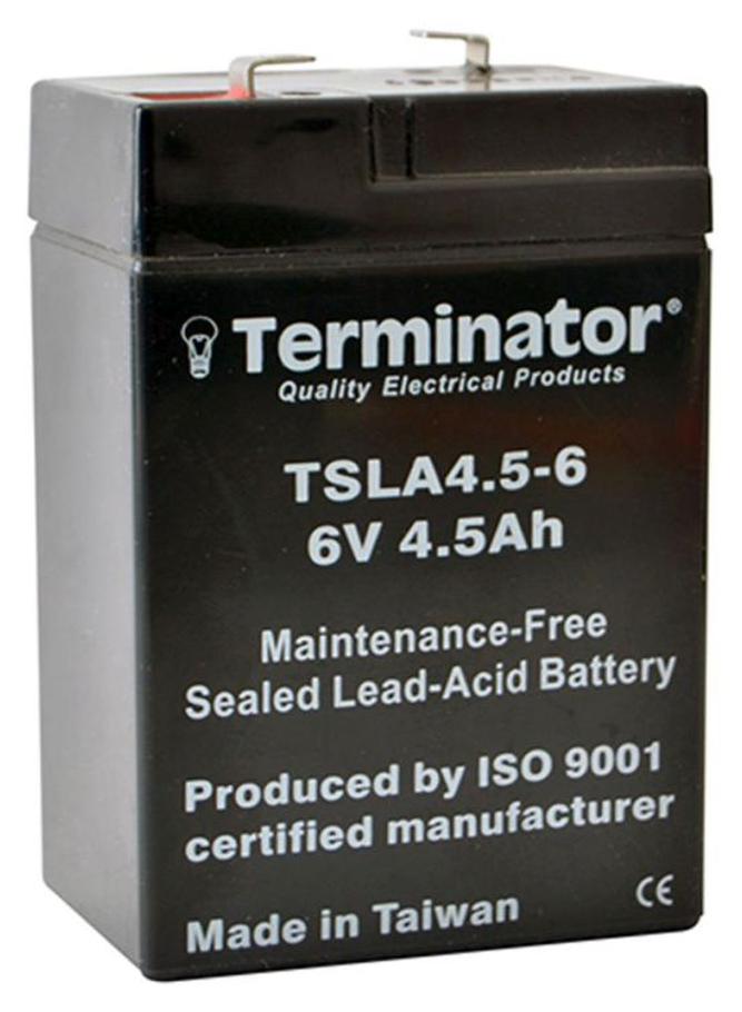Terminator Sealed Lead-Acid Car Battery