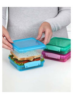 Sistema Sandwich Box Coloured 3 Pack SW 450ml : Sandwich Storage Containers - Leak-proof - Portable - BPA-free Assorted - pnsku/N17936912A/45/_/1721997691/12cf056b-3b1c-4789-80d3-3deb20e3bb1e