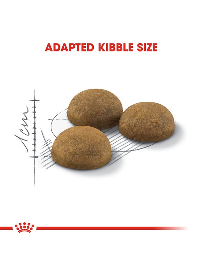 ROYAL CANIN Feline Health Nutrition Indoor Long Hair 2kg - Image 3