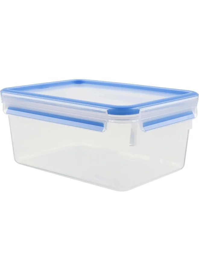 Tefal Masterseal Food Container