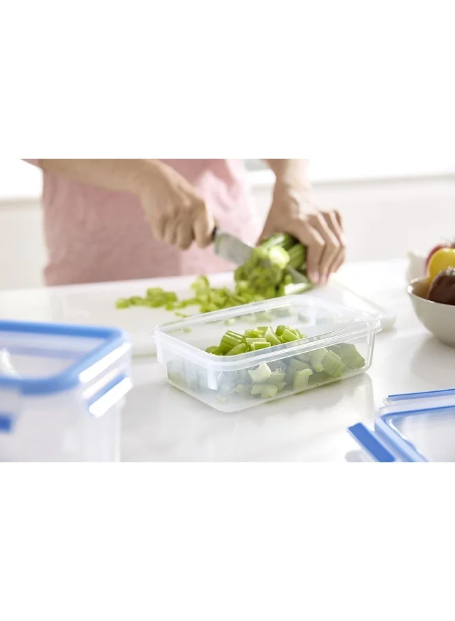 Tefal Masterseal Food Container Clear/Blue 0.15Liters