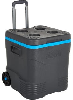 Keep Cold Plastic Picnic Trolley Icebox Roller Cooler With Wheels 30 Liters Grey 30.0Liters
