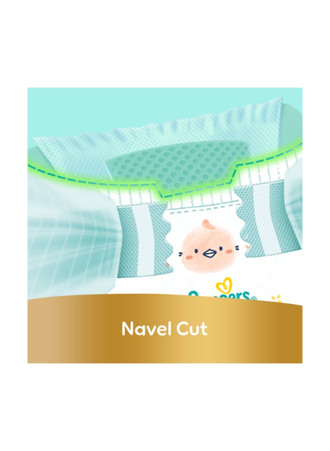 حفاضات بريميوم كير مقاس 1 المولود الجديد للأوزان 2-5 كجم الأنعم مع أفضل حماية للبشرة مكونة من 86 حفاض للأطفال