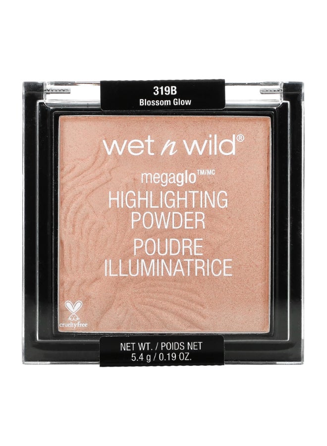 Megaglo, Highlighting Powder, 319B Blossom Glow, 0.19 Oz Packaging May Vary Blossom Glow - pnsku/N20093525A/45/_/1741067111/aac1b6a8-34ba-41ae-a338-23223a7dc7b9