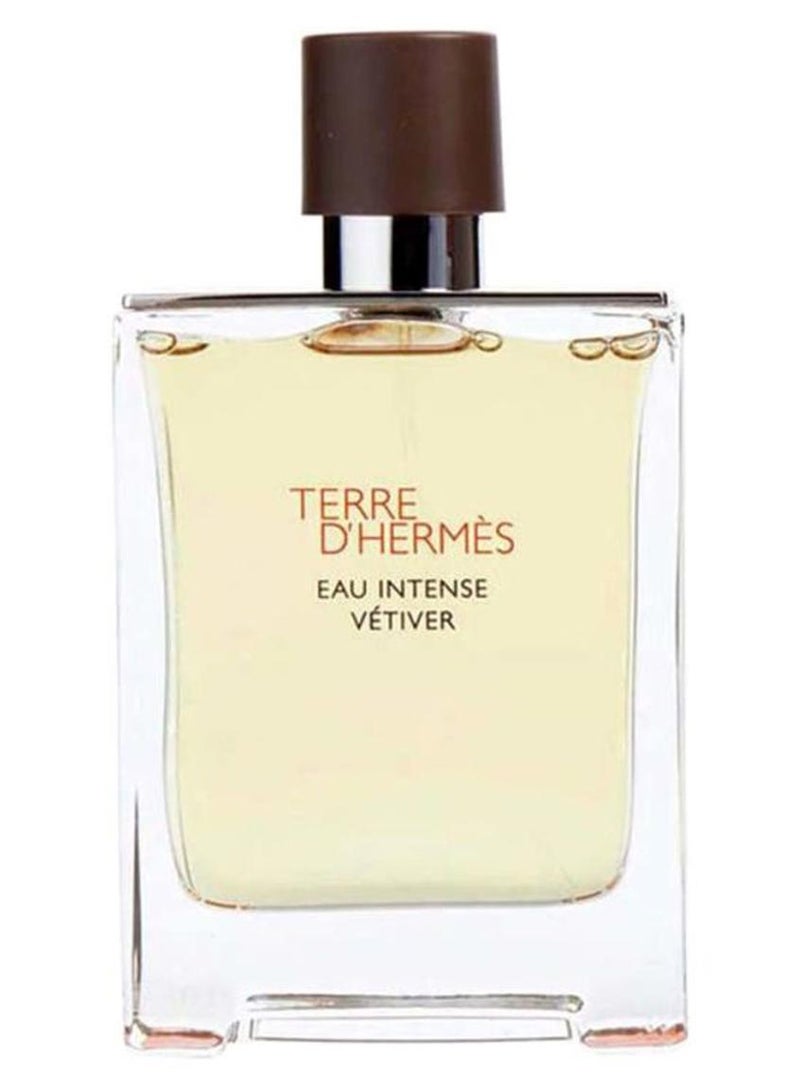 HERMES Terre D´Hermes Eau Intense Vétiver EDP 100ml - Image 1
