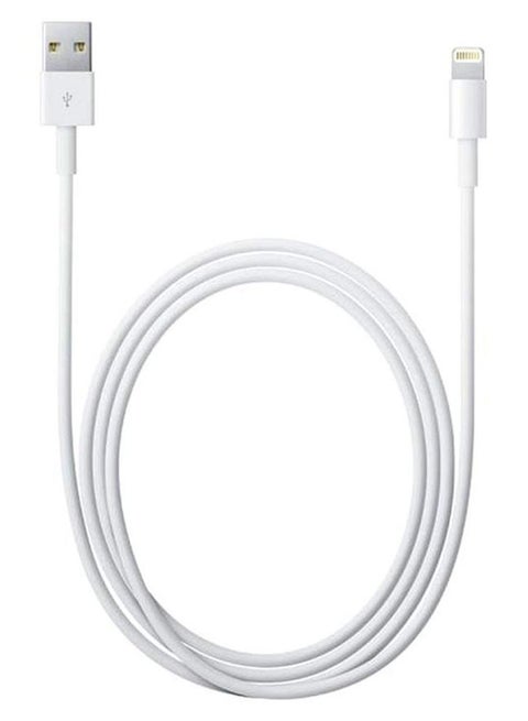 Lightning To USB Cable 1 M White
