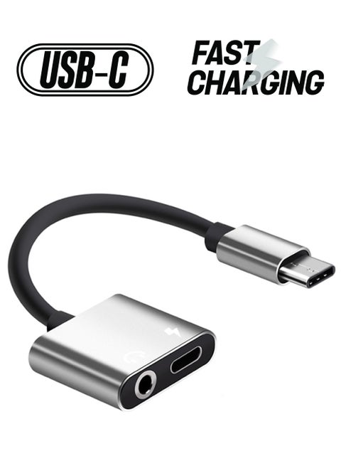 2 in 1 Type-C Audio Charging Adapter Silver