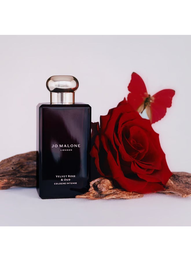 jo Malone Velvet Rose And Oud Cologne Intense 100ml  - Image 5