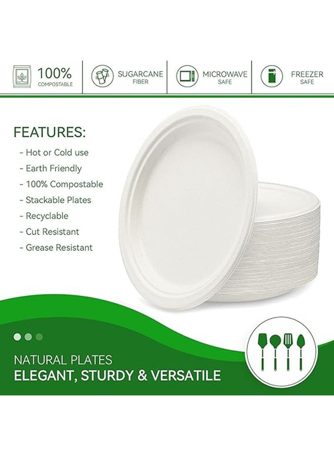 Hotpack 10-Pieces Bio Degradable Pulp Plate White 10x10inch  - Image 2
