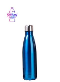 Insulated Stainless Steel Water Bottle Blue/Silver