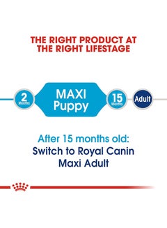 ROYAL CANIN Maxi Puppy Dog Food 4kg  - Image 4