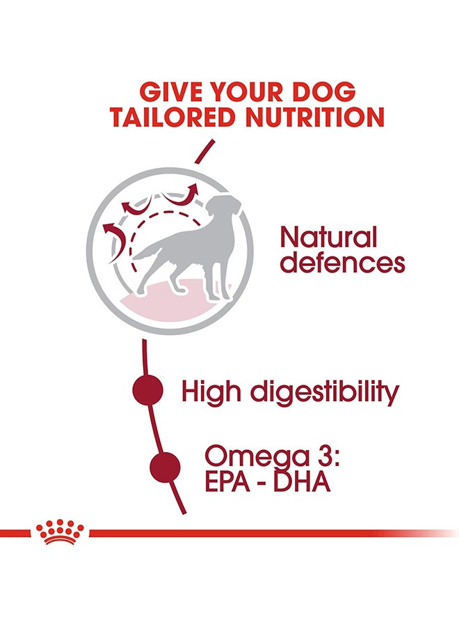 رويال كانين طعام للتغذية الصحية للكلاب البالغة متوسطة الحجم 4كيلوجرام - Image 4