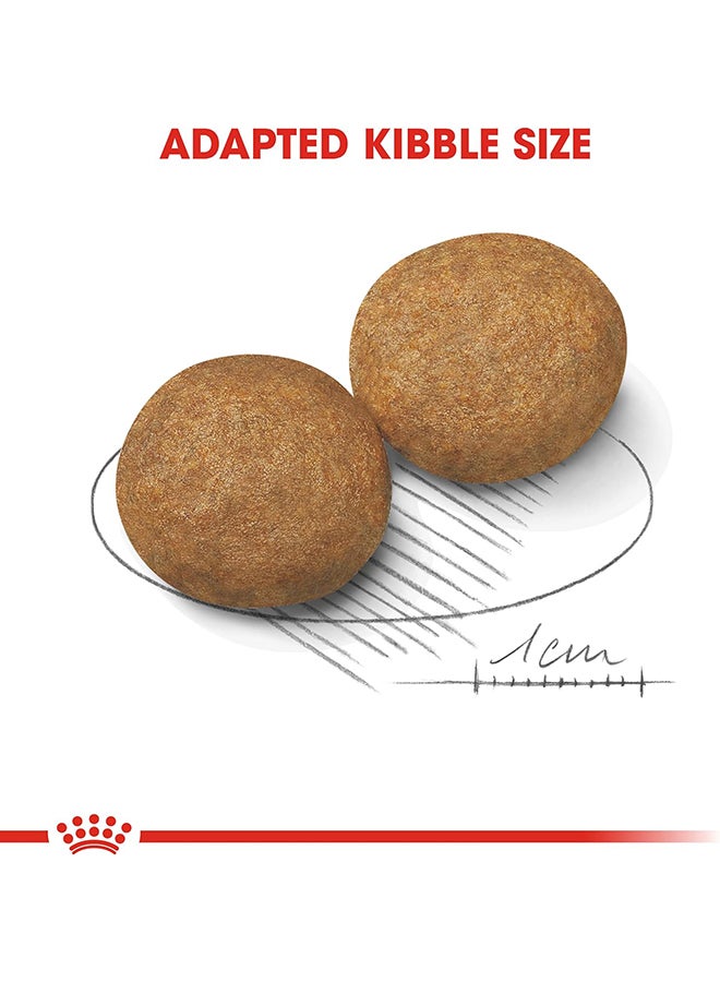 رويال كانين طعام للتغذية الصحية للكلاب البالغة متوسطة الحجم 4كيلوجرام - Image 5