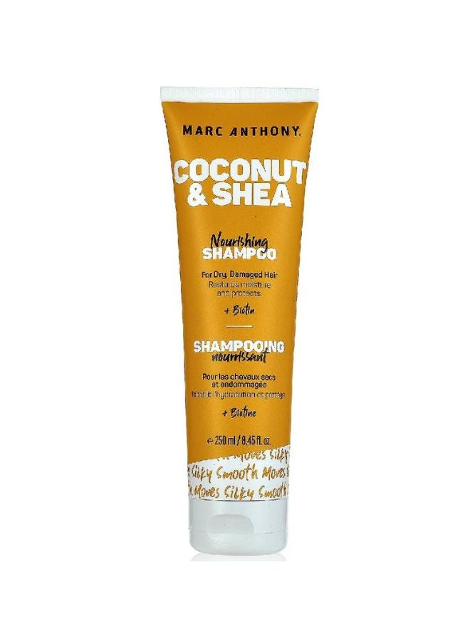 MARC ANTHONY Hydrating Coconut Oil And Shea Butter Hair Shampoo 250ml - Image 1
