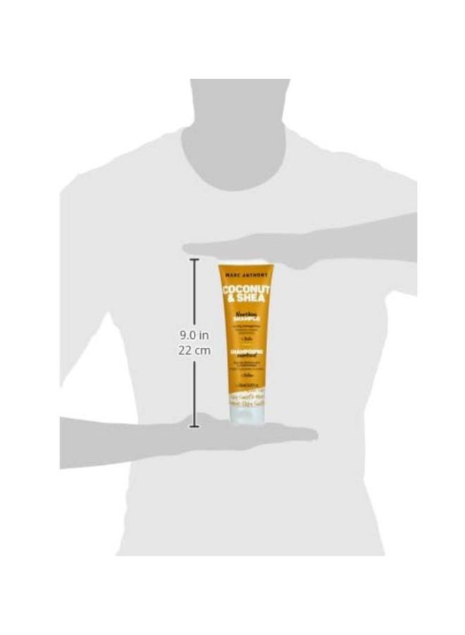 MARC ANTHONY Hydrating Coconut Oil And Shea Butter Hair Shampoo 250ml - Image 3