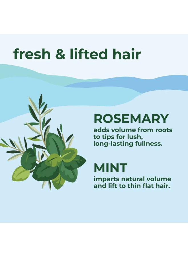 Petal fresh - Rosemary And Mint Hair Shampoo Multicolour 475ml - Image 1