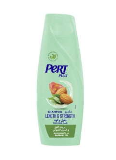 برت بلاس شامبو الطول والقوة للشعر الطويل  - Image 1